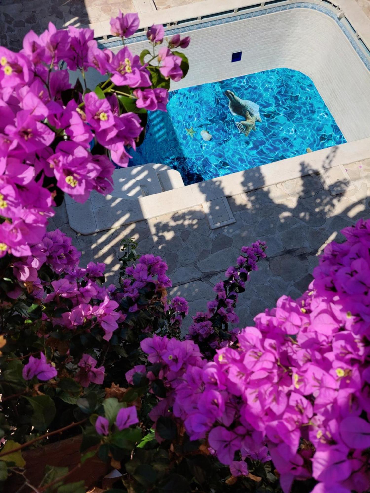 Studios Villa Romantica زادار المظهر الخارجي الصورة